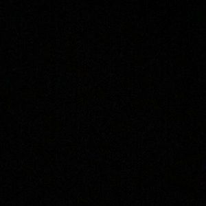 Meet your Posher, Sammy